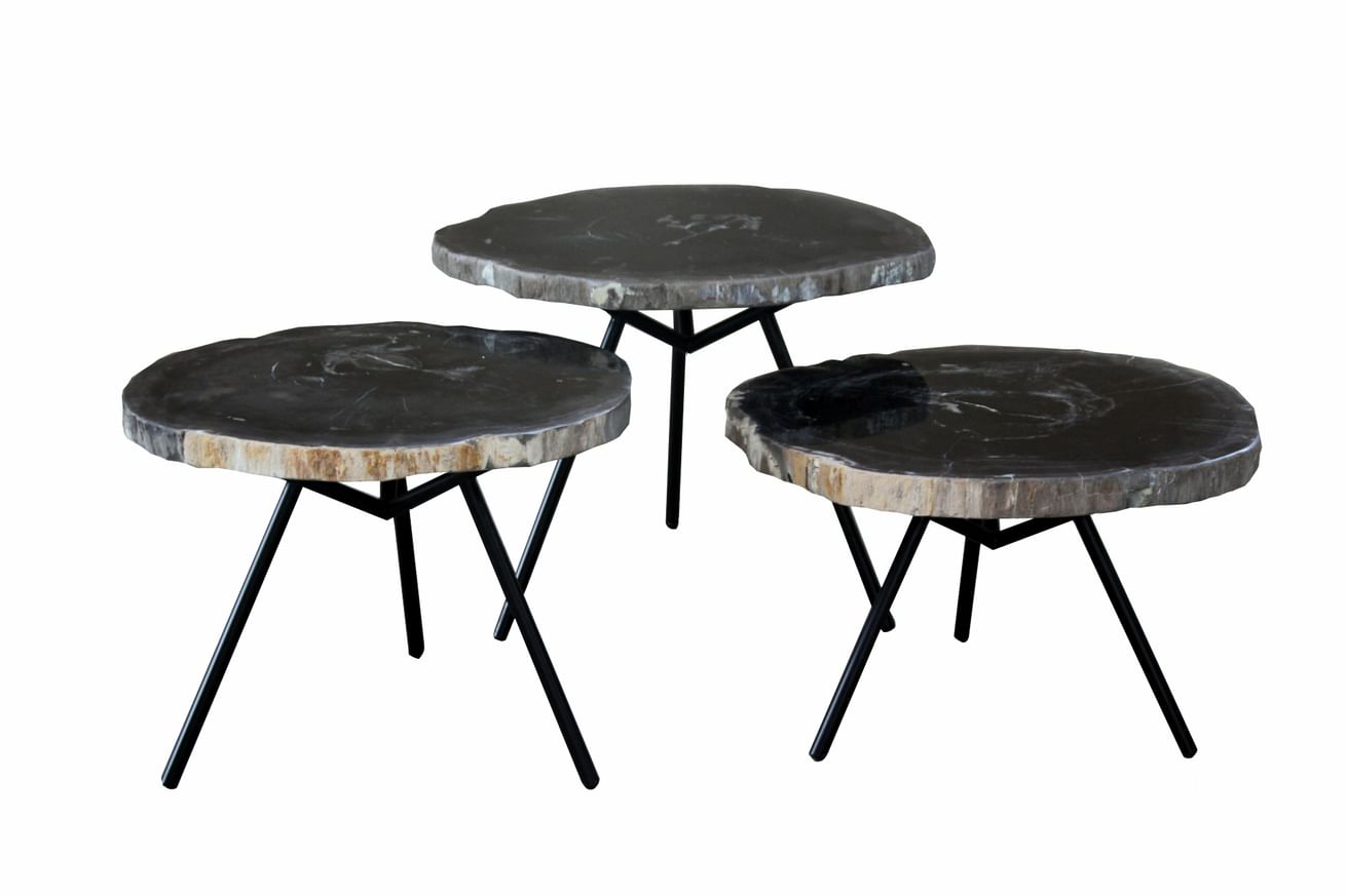 Emma versteend hout salontafel set van 2