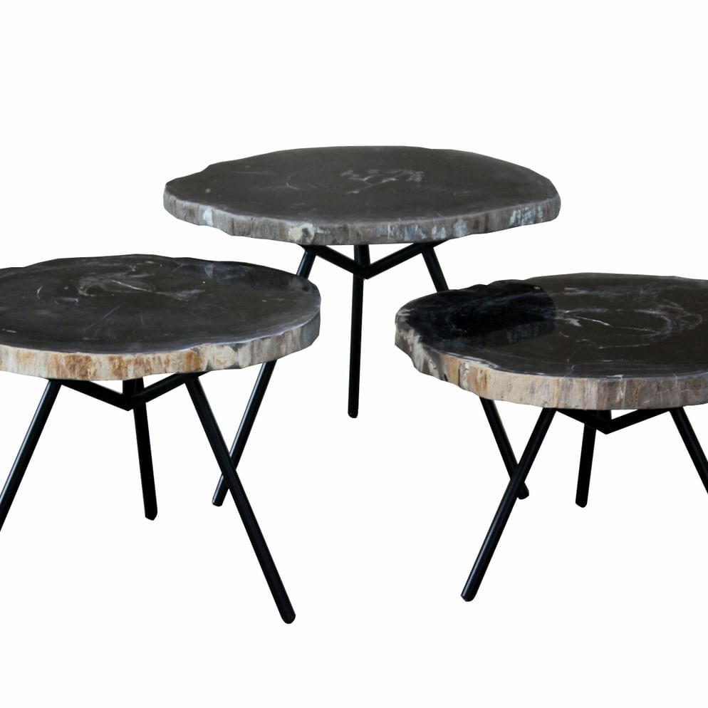 Emma Couchtisch aus versteinertem Holz, 2 Stück
