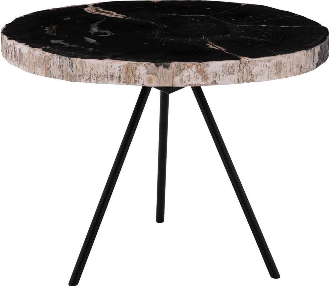 Emma versteinertes Holz Couchtisch 50/60 cm