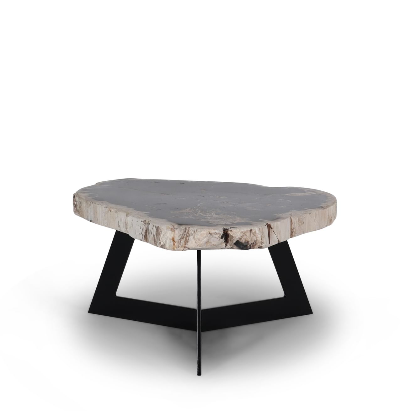 Garung petrified wood coffeetable low