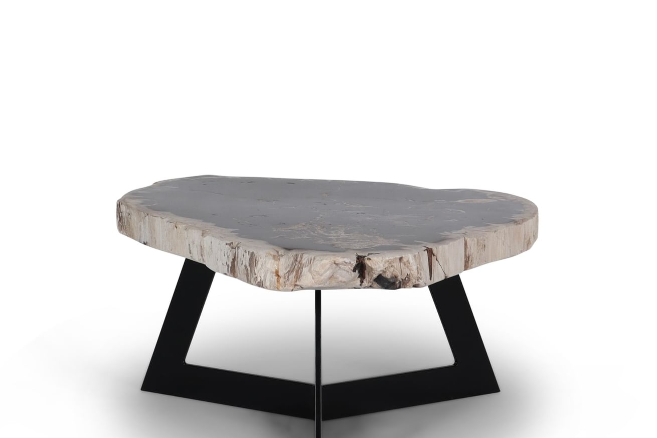 Garung petrified wood coffeetable low