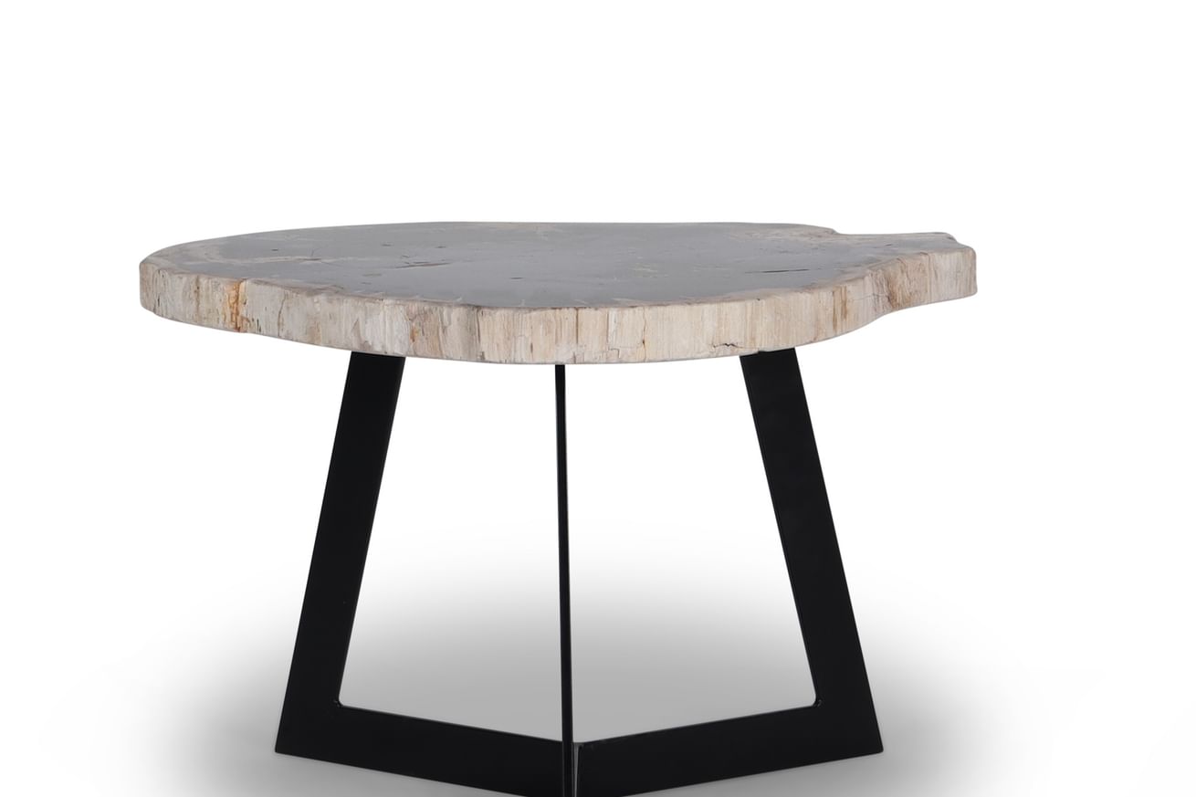 Garung petrified wood coffeetable medium