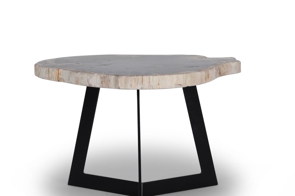 Garung petrified wood coffeetable high black leg