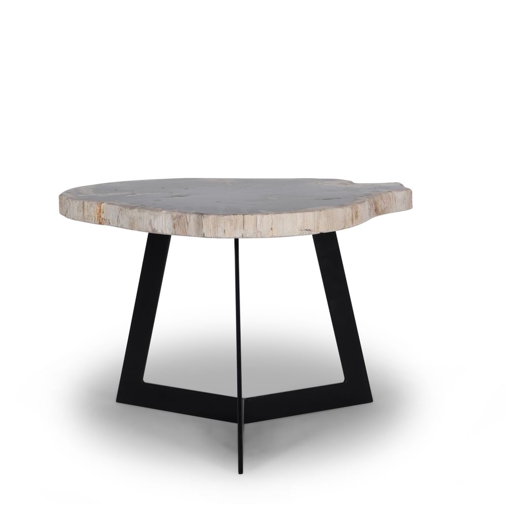 Garung petrified wood coffeetable high black leg