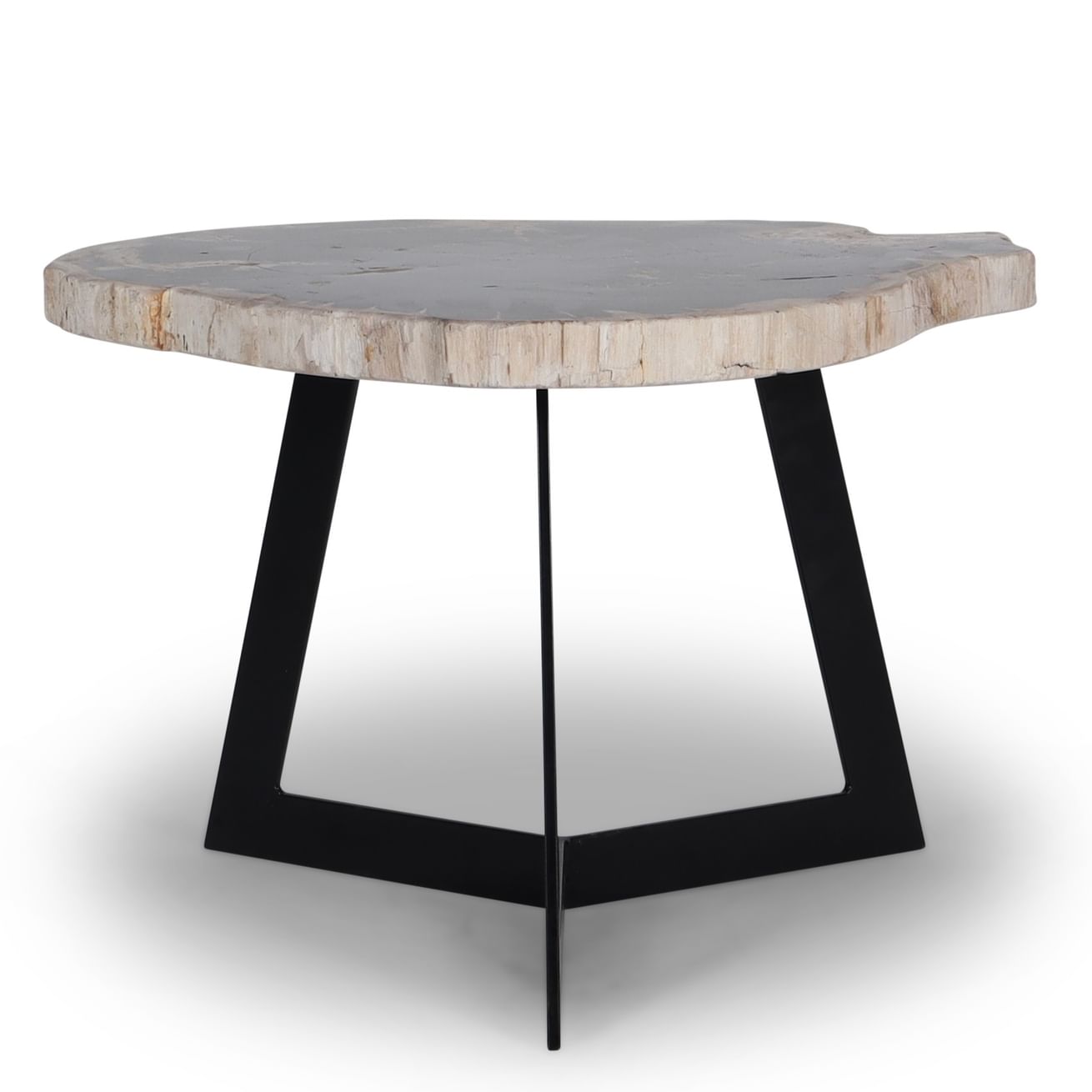 Garung petrified wood coffeetable high