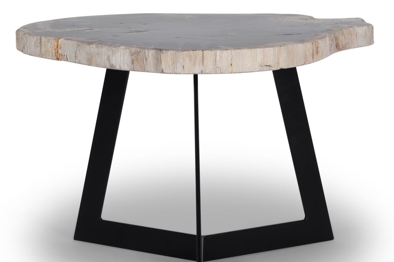 Garung petrified wood coffeetable high