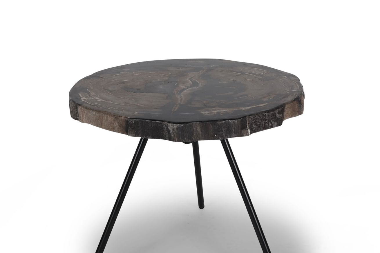 Ciawi coffeetable petrified wood tinggi