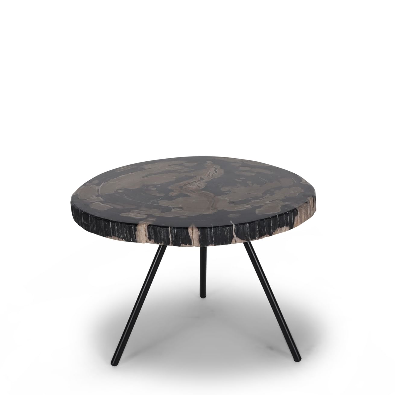 Ciawi coffeetable petrified wood high black leg