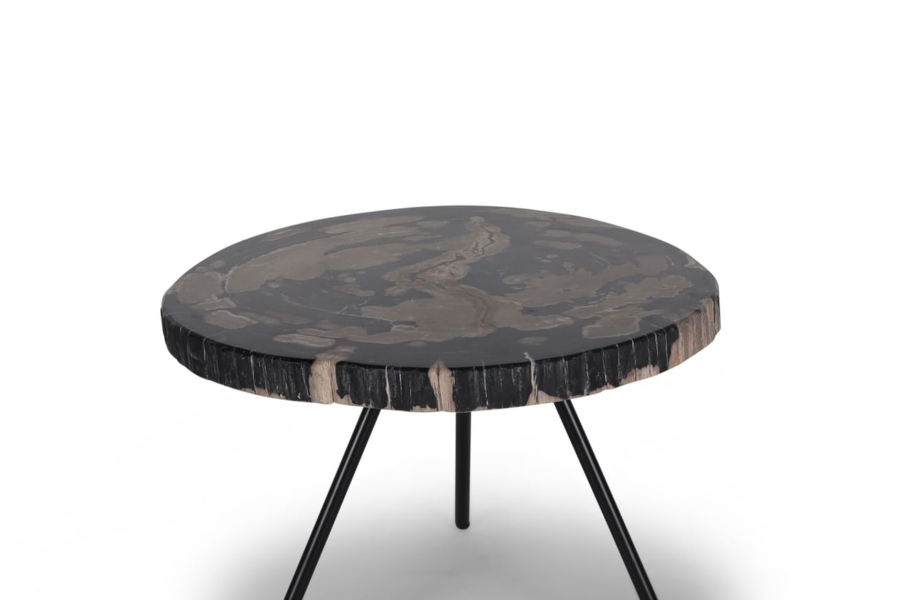 Ciawi coffeetable petrified wood tengah