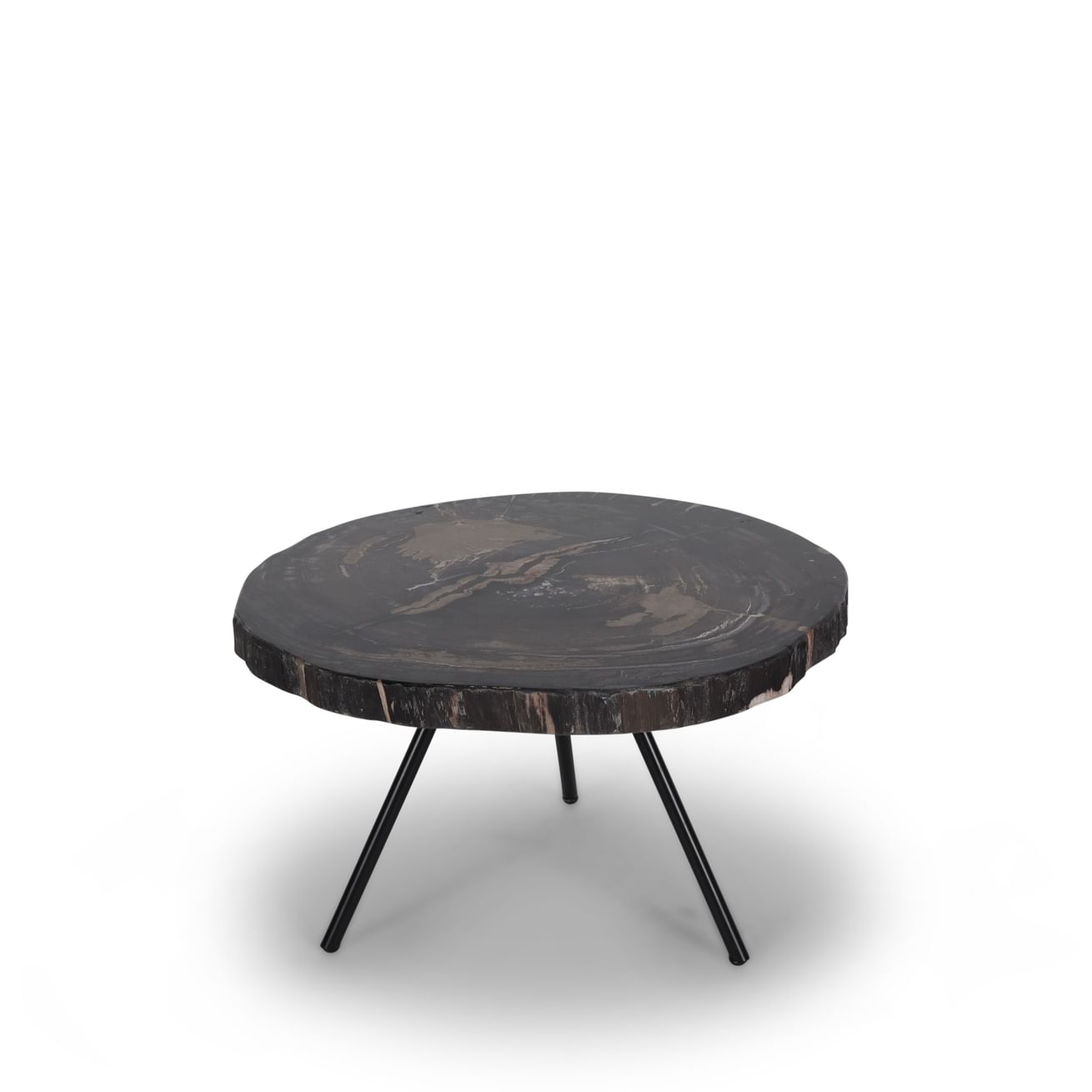 Ciawi coffeetable petrified wood rendah