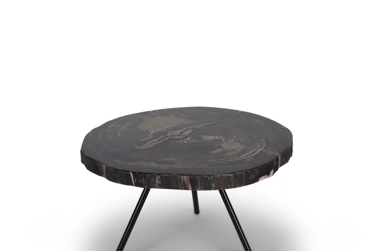 Ciawi coffeetable petrified wood rendah