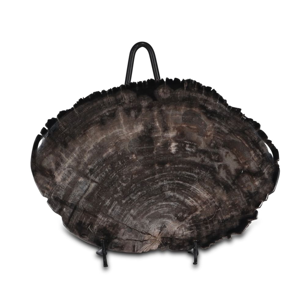 Santosa petrified wood plate