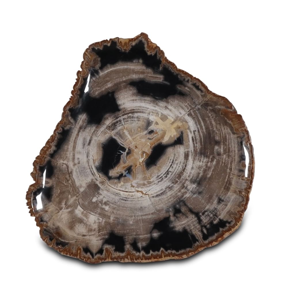 Santosa petrified wood plate
