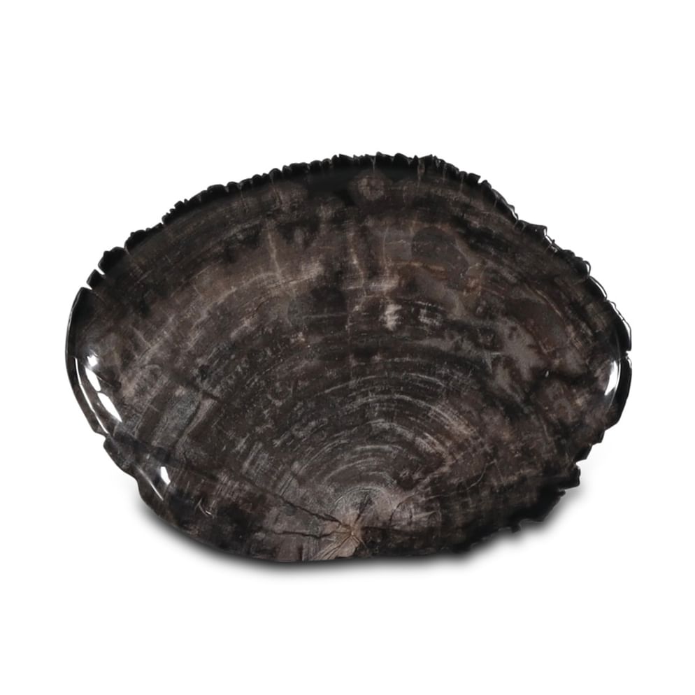 Santosa petrified wood plate