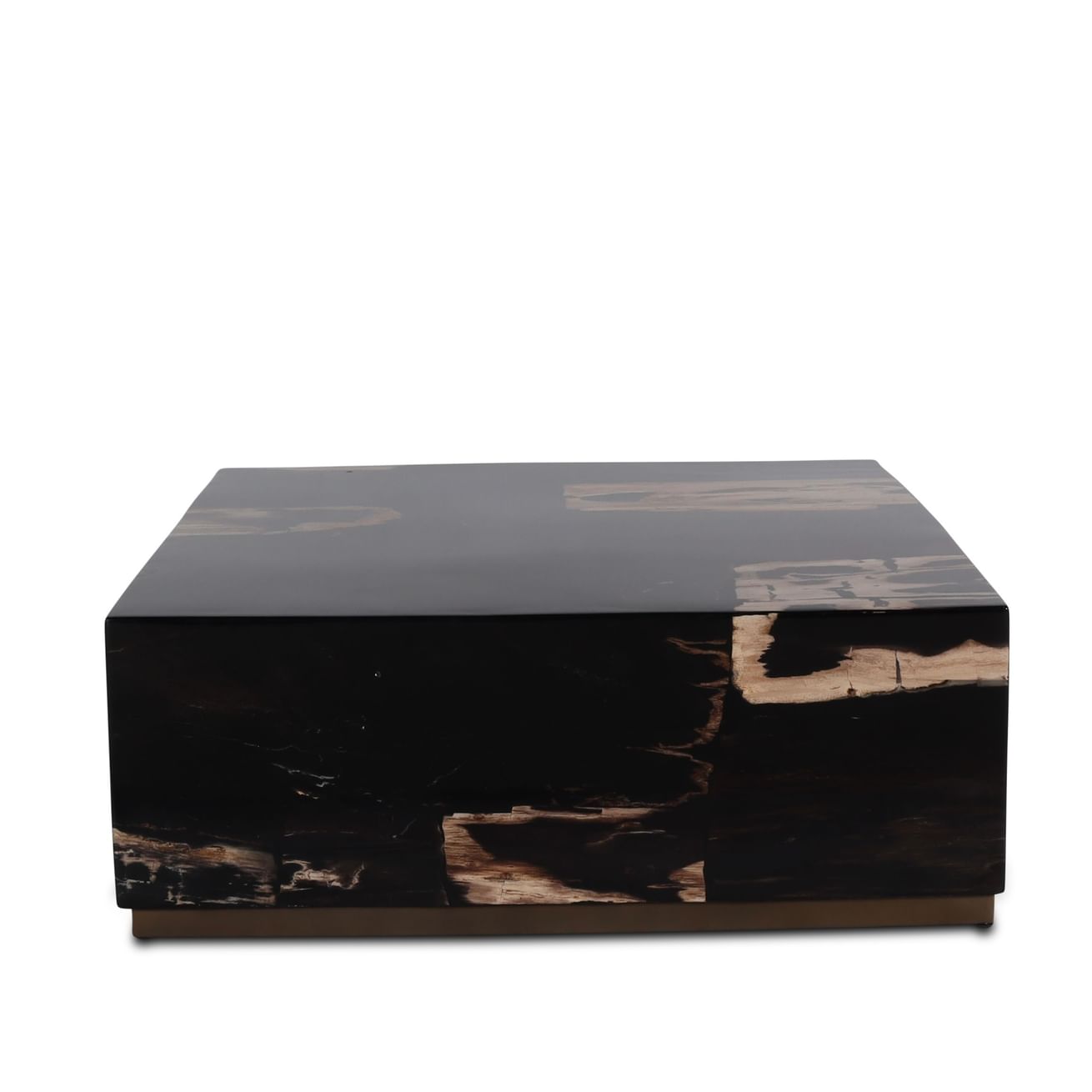 Masamba coffeetable petrified wood