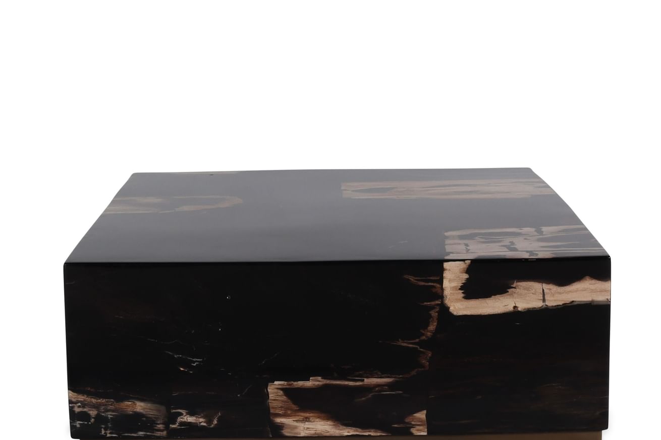 Masamba coffeetable petrified wood