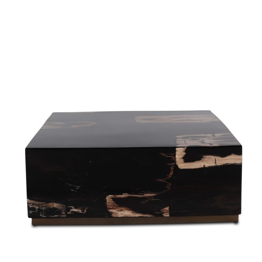 Masamba coffeetable petrified wood