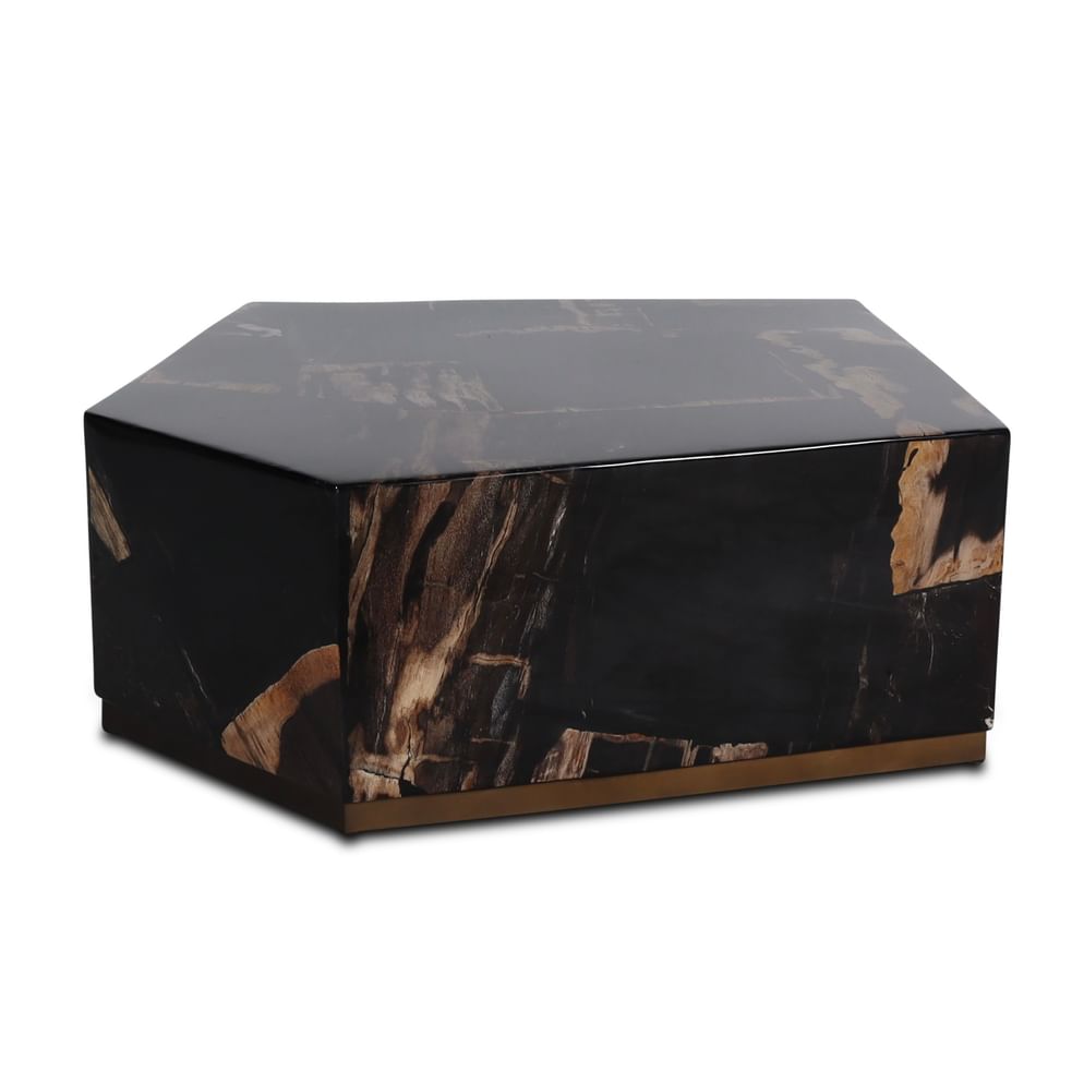 Palopo coffeetable petrified wood besar