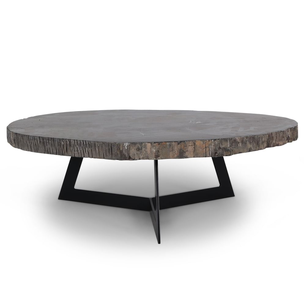 Cigaru coffeetable petrified wood besar