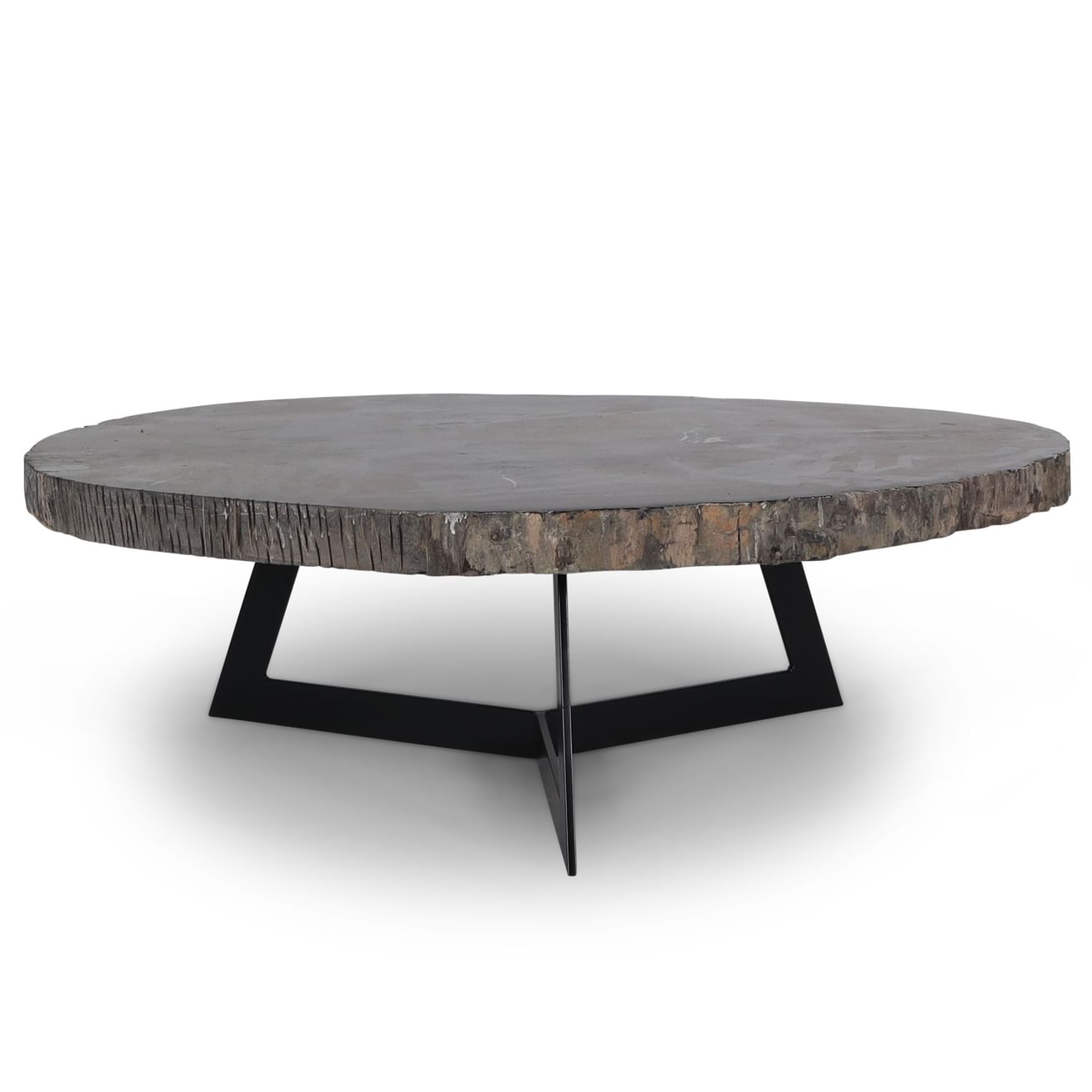 Cigaru coffeetable petrified wood besar