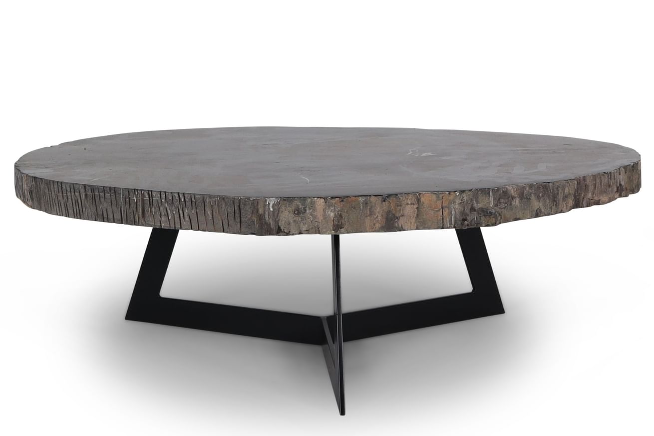 Cigaru coffeetable petrified wood besar