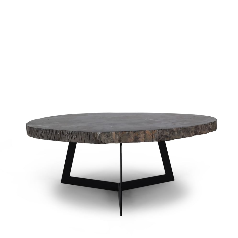 Cigaru coffeetable petrified wood sedang