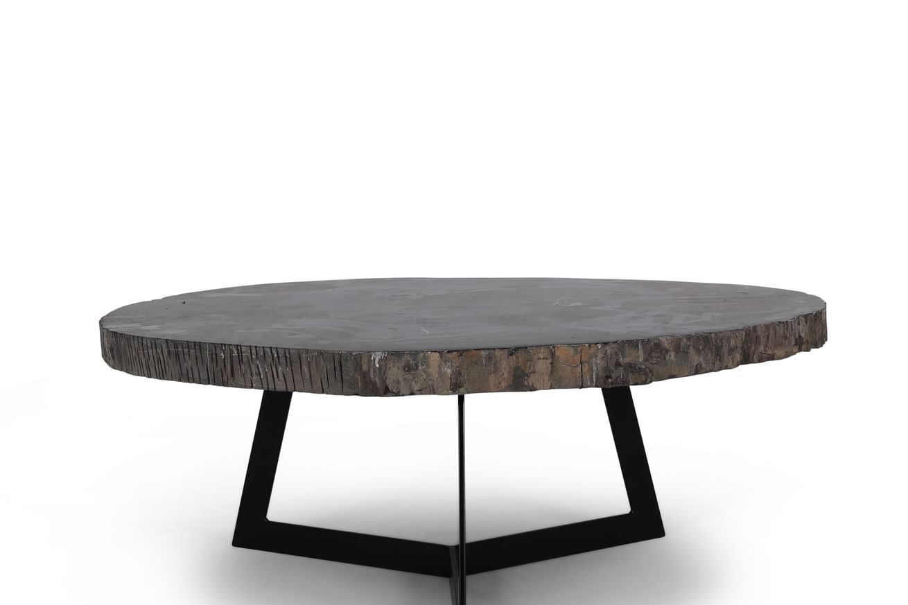 Cigaru coffeetable petrified wood 60-80 cm