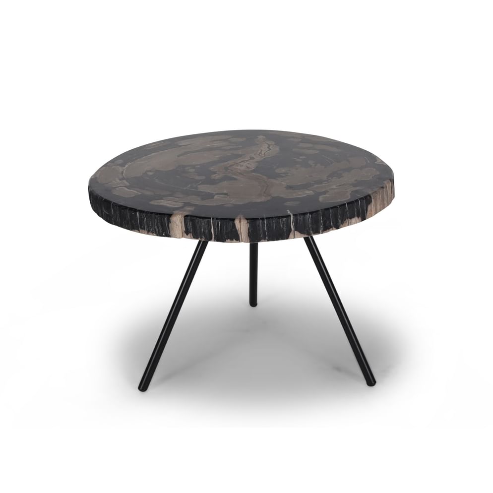 Ciawi coffeetable petrified wood tengah