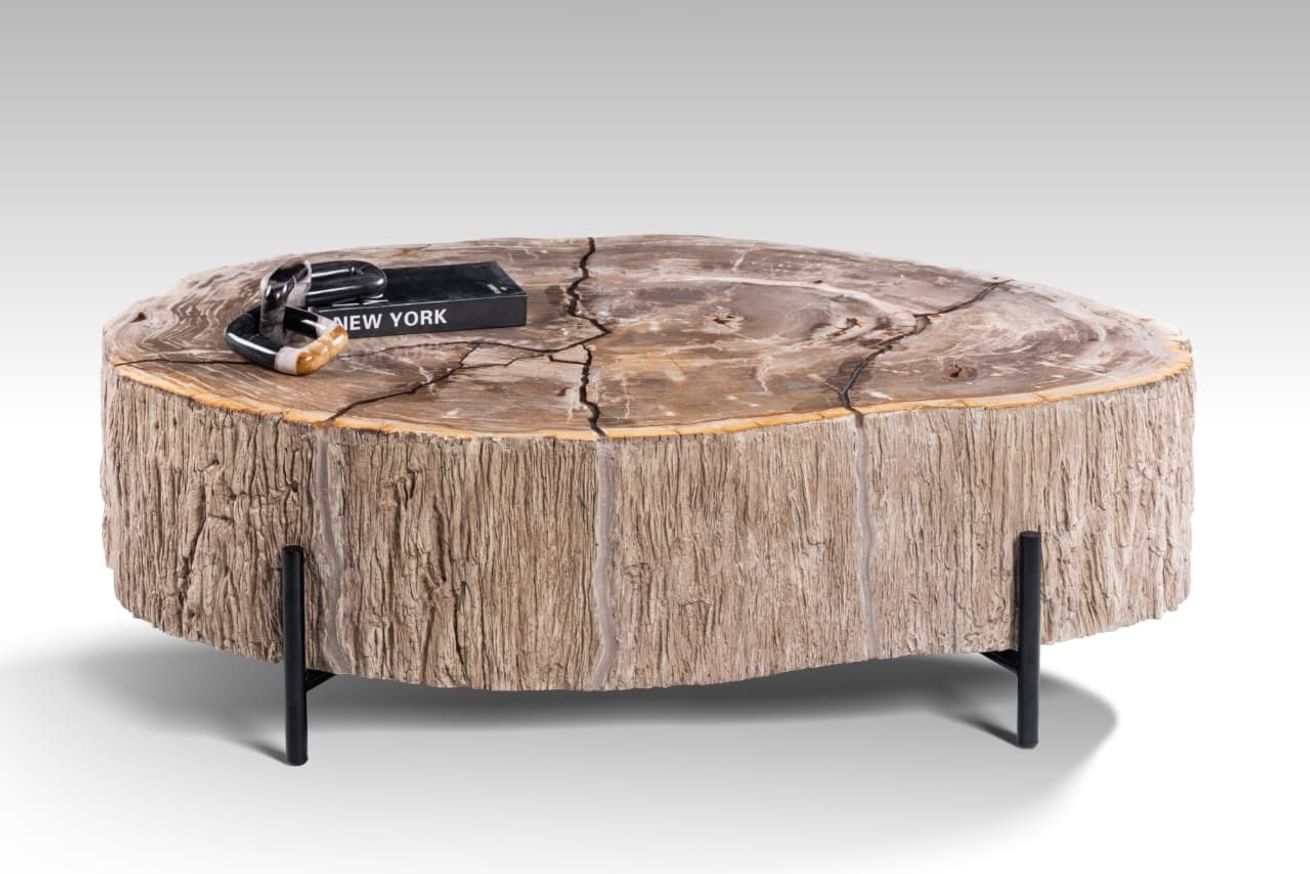 Lampung petrified wood coffeetable