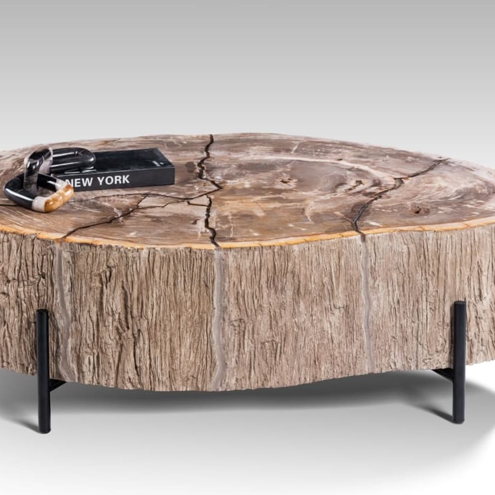 Garung petrified wood coffeetable low