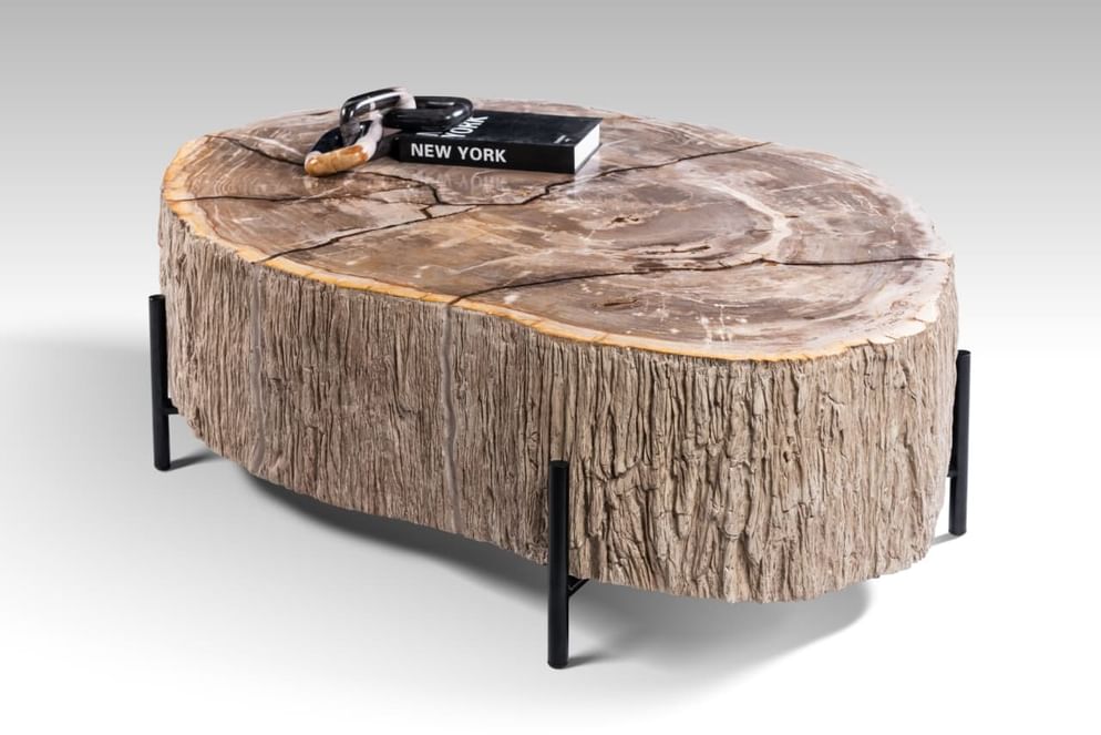 Lampung petrified wood coffeetable