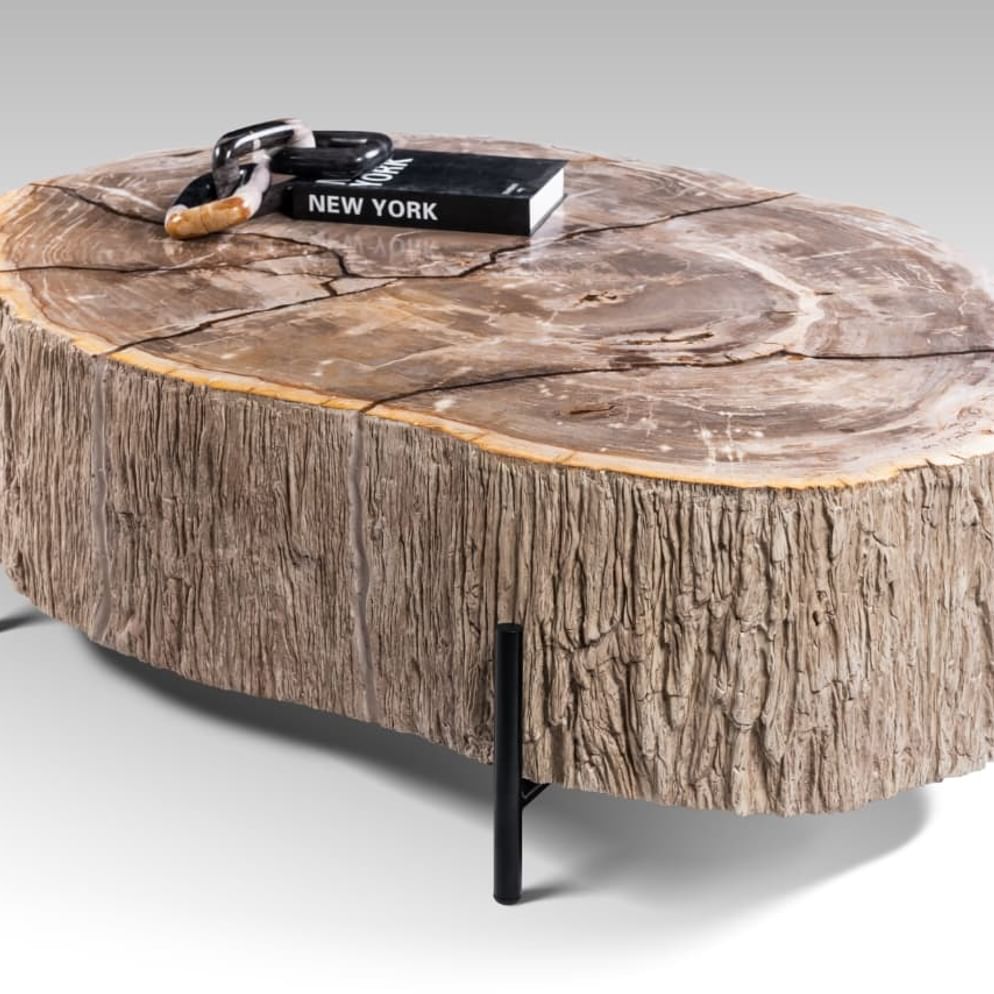 Garung petrified wood coffeetable low