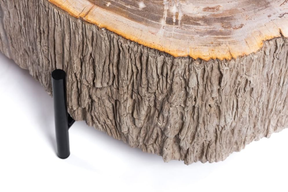 Lampung petrified wood coffeetable