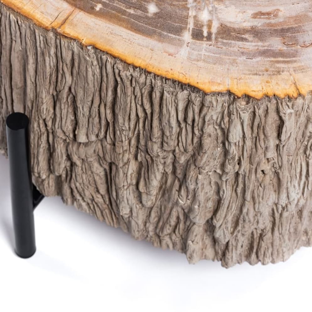 Lampung petrified wood coffeetable