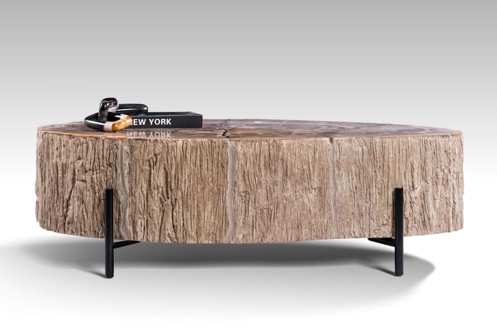 Lampung petrified wood coffeetable