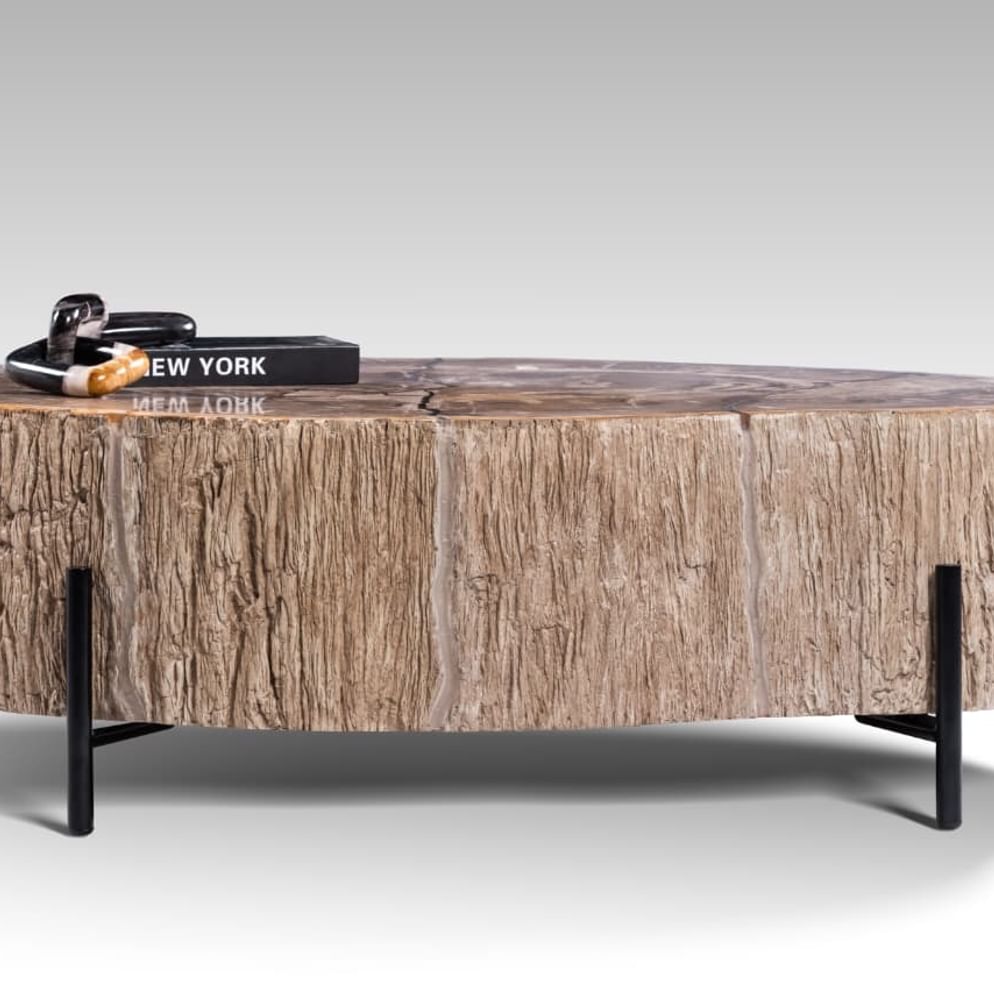 Lampung petrified wood coffeetable