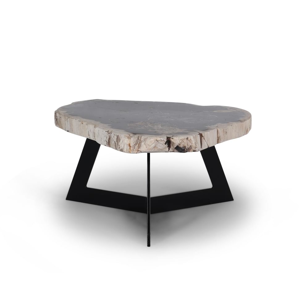Garung petrified wood coffeetable low