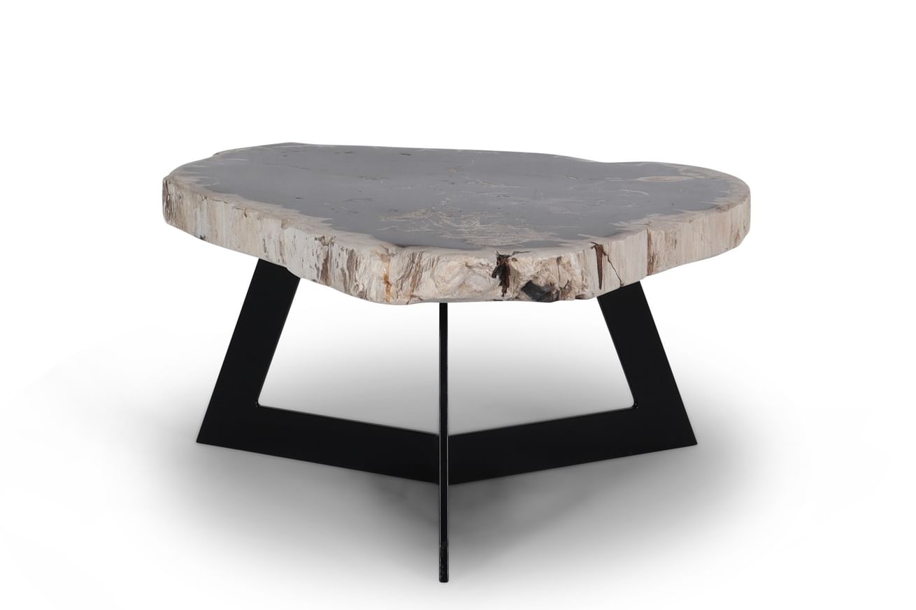 Garung petrified wood coffeetable low black leg