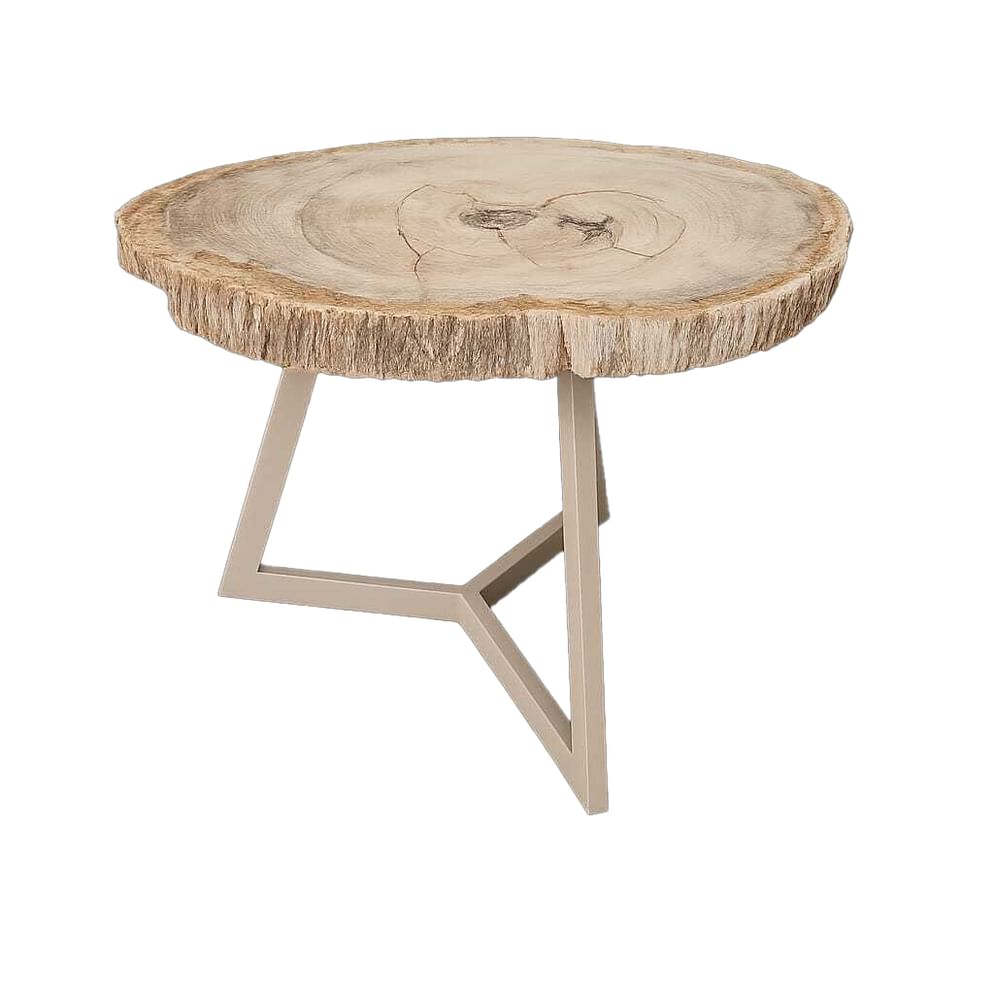 Garung petrified wood coffeetable low