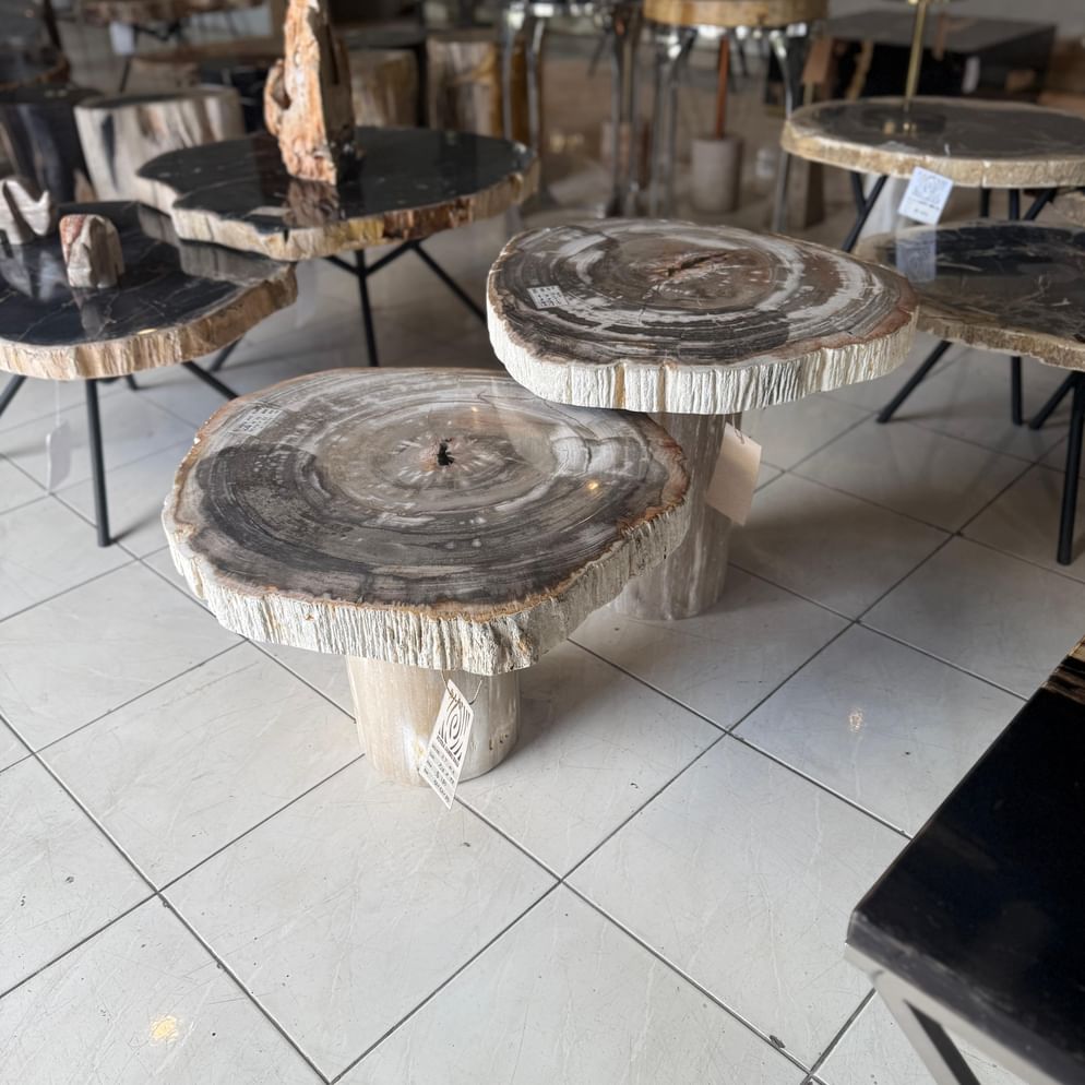 Garung petrified wood coffeetable low