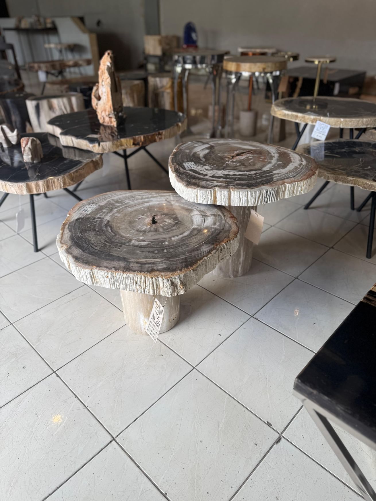 Dusun petrified wood coffeetable high