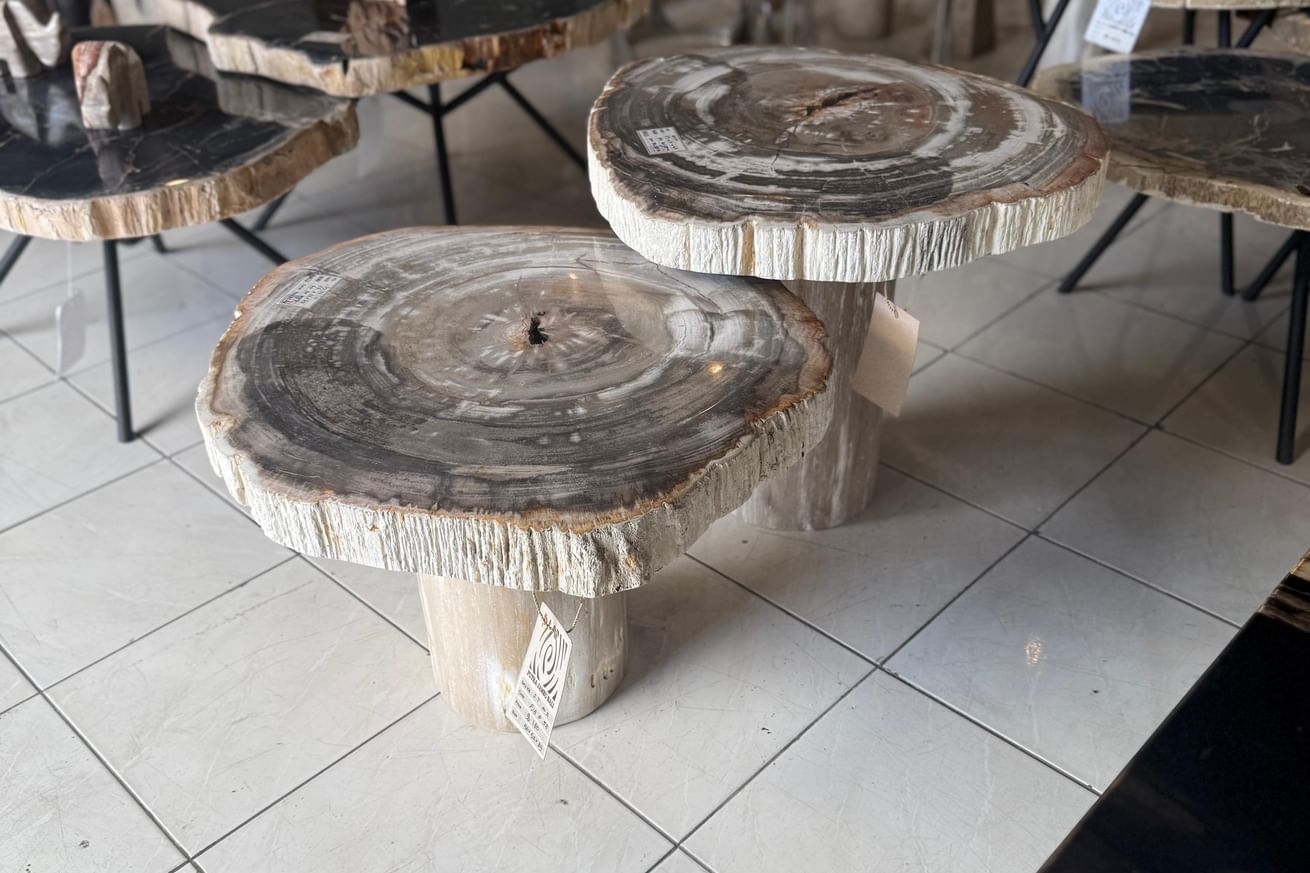 Garung petrified wood coffeetable low