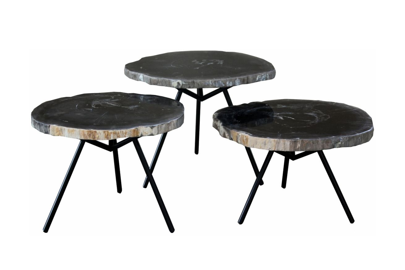 Emma versteend hout salontafel set van 2