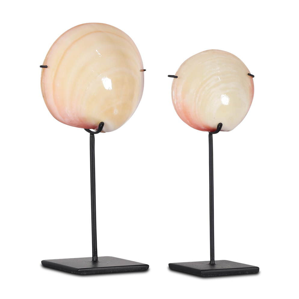 Wokole pink shell on stand S