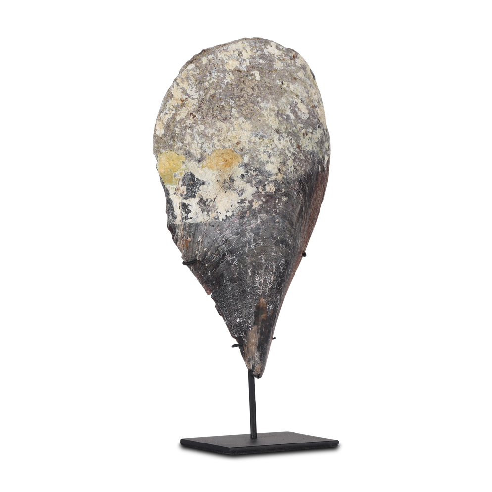 Wadung shell on stand