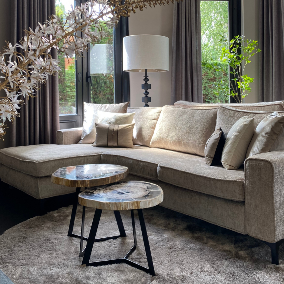 Garung petrified wood coffeetable high