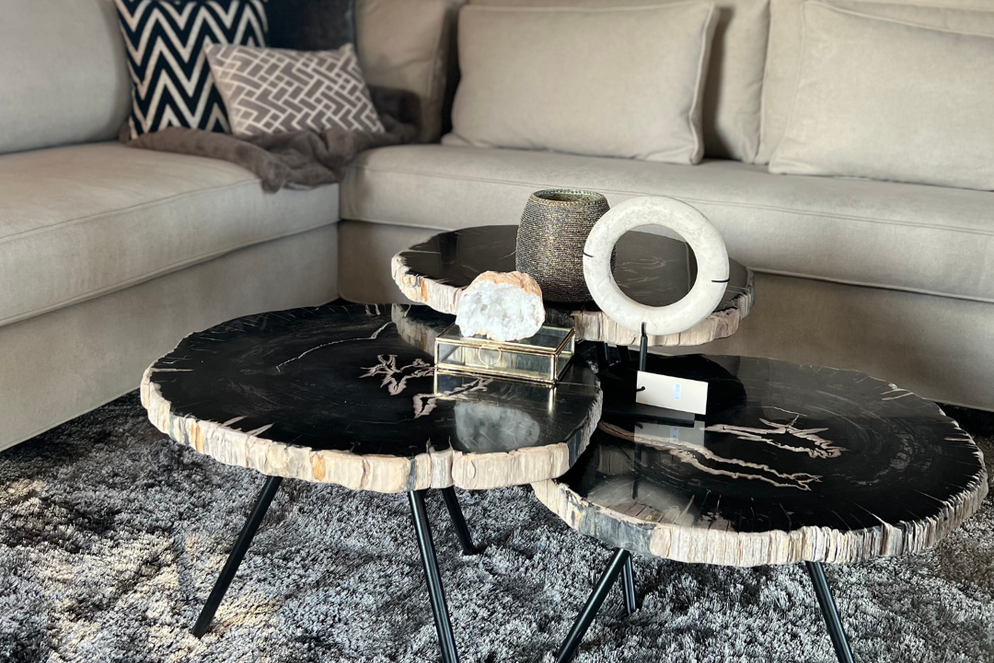 Ciawi coffeetable petrified wood low black leg