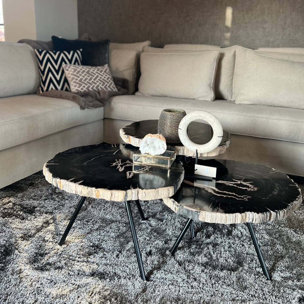 Ciawi coffeetable petrified wood low black leg