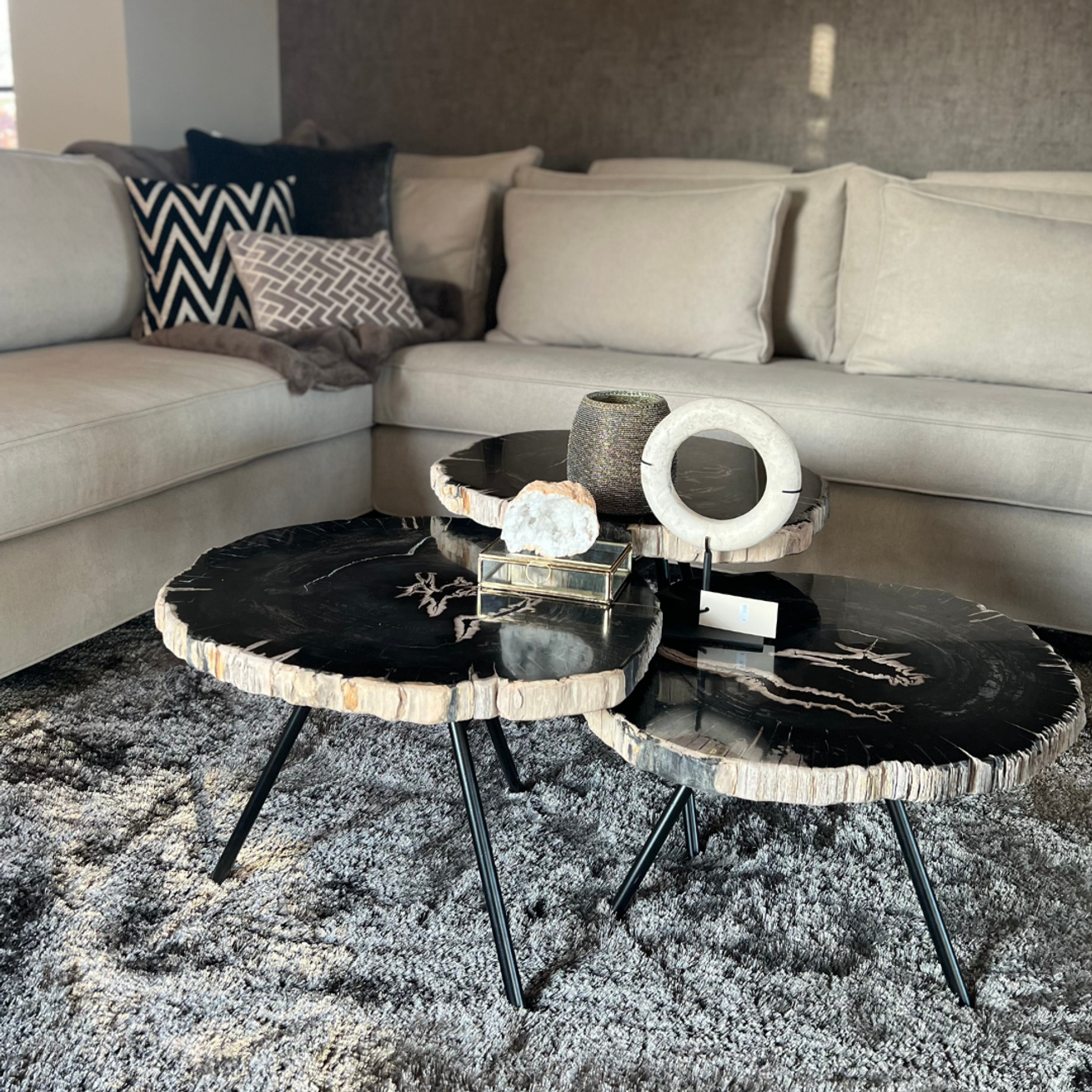 Ciawi coffeetable petrified wood tinggi