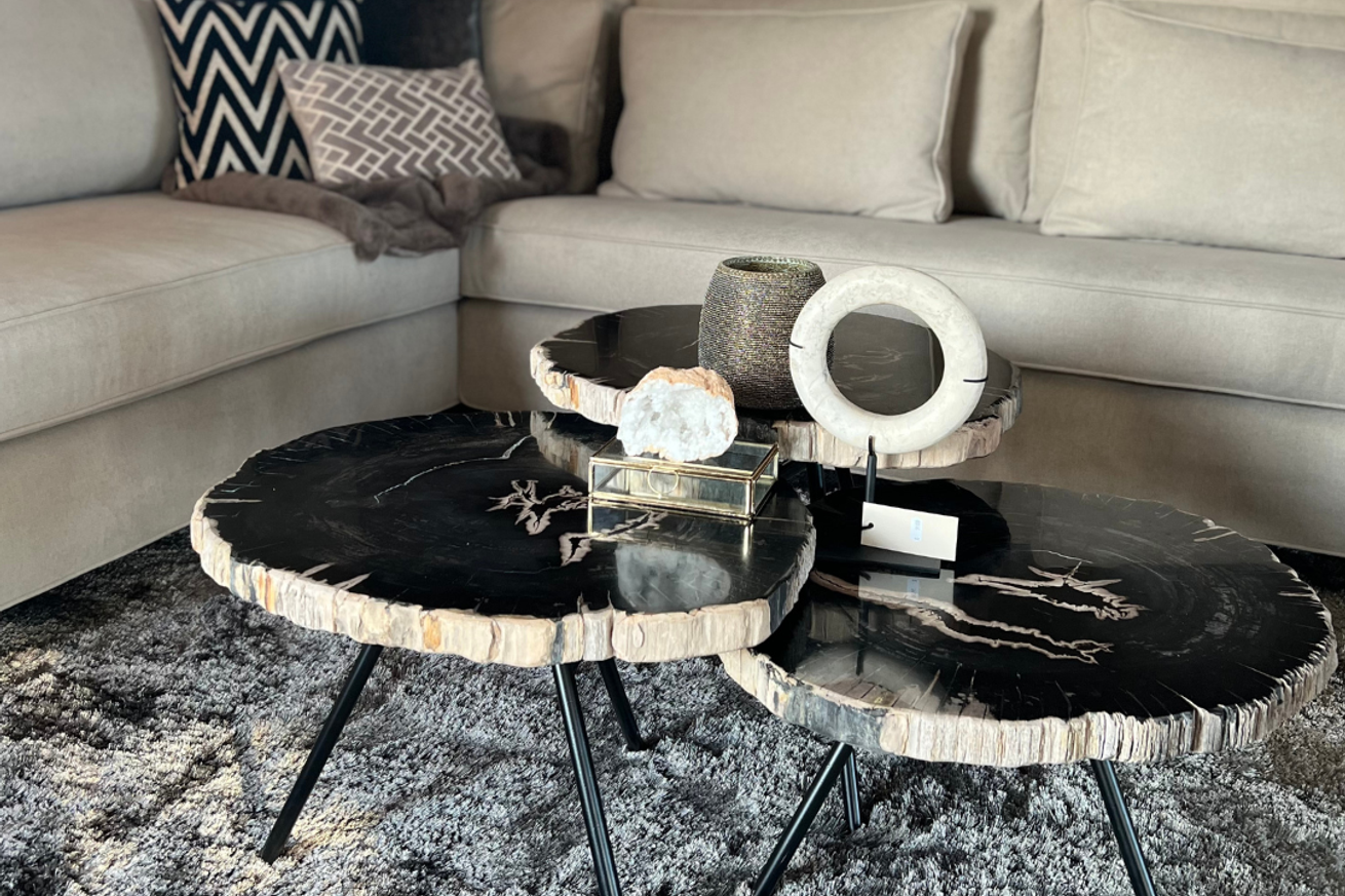 Ciawi coffeetable petrified wood tinggi